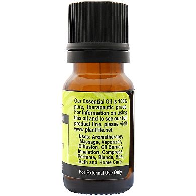 Plantlife Basil Essential Oil - Aromatherapy