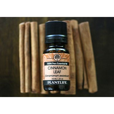 Plantlife Cinnamon Leaf Essential Oil - Aromatherapy