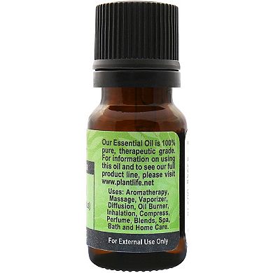 Plantlife Tarragon Essential Oil - Aromatherapy