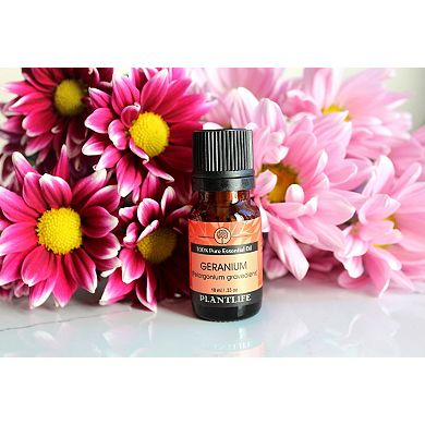 Plantlife Geranium Essential Oil - Aromatherapy