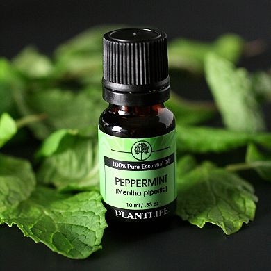 Plantlife Peppermint Essential Oil - Aromatherapy