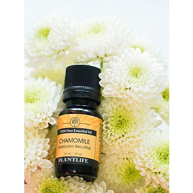 Plantlife Chamomile Essential Oil - Aromatherapy