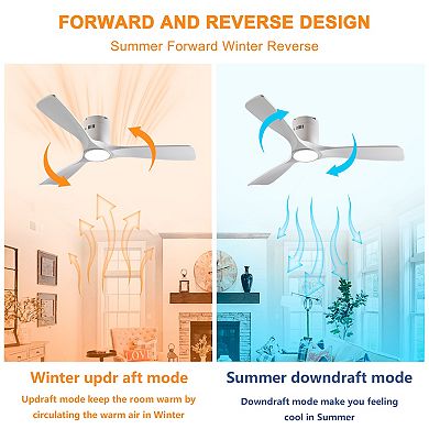 ELEMENT ACE Solid Wood Ceiling Fan with Dimmable LED Light and Remote Control