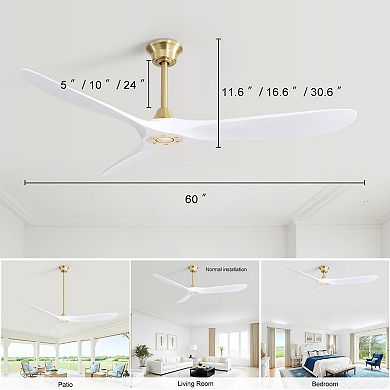 ELEMENT ACE Modern 60 Inch Ceiling Fan with Smart Remote Control and Reversible DC Motor