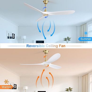 ELEMENT ACE Modern 60 Inch Ceiling Fan with Smart Remote Control and Reversible DC Motor