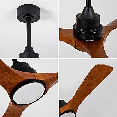 ELEMENT ACE Modern Solid Wood Ceiling Fan with Integrated LED Light and Remote Control