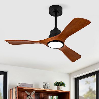 ELEMENT ACE Modern Solid Wood Ceiling Fan with Integrated LED Light and Remote Control