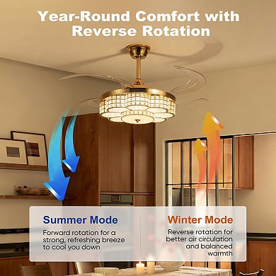 ELEMENT ACE 48-Inch Retractable Blade Ceiling Fan with Light and Remote Control