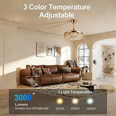 ELEMENT ACE 48-Inch Retractable Blade Ceiling Fan with Light and Remote Control