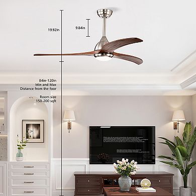 ELEMENT ACE 52 Inch Indoor Outdoor Ceiling Fan with Light and Remote Control
