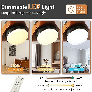 ELEMENT ACE 52 Inch Solid Wood Ceiling Fan with Light and Remote Control