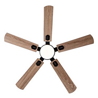 ELEMENT ACE 52-Inch Indoor Outdoor Ceiling Fan with Light Remote App Control Dimmable LED