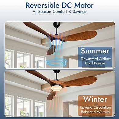 ELEMENT ACE Modern Ceiling Fan with Integrated Light and Remote Control for Indoor Use