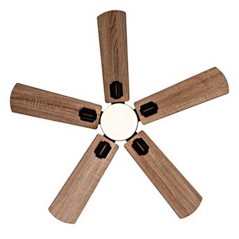 ELEMENT ACE Smart 42-Inch Indoor Outdoor Ceiling Fan with Light Remote Control