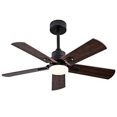 ELEMENT ACE Smart 42-Inch Indoor Outdoor Ceiling Fan with Light Remote Control