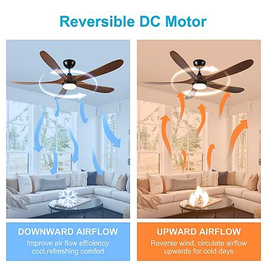 ELEMENT ACE 62-Inch Solid Wood Remote Control LED Ceiling Fan for Indoor Outdoor Use