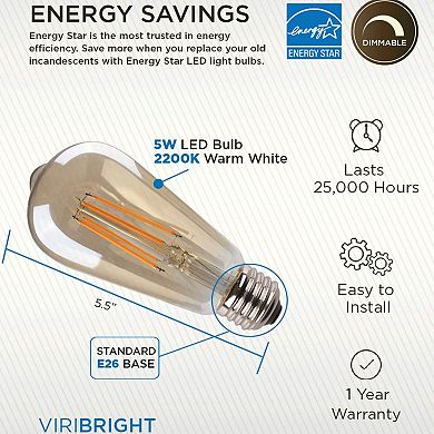 Viribright® ST19 LED Bulb, Filament, Amber, Vintage, Edision, Warm White 2200K