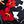 Black Flowers