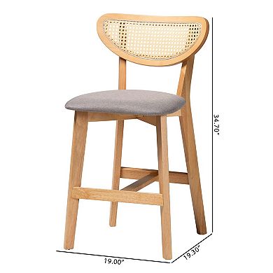 Baxton Studio Dannell 2-Piece Counter Stool Set