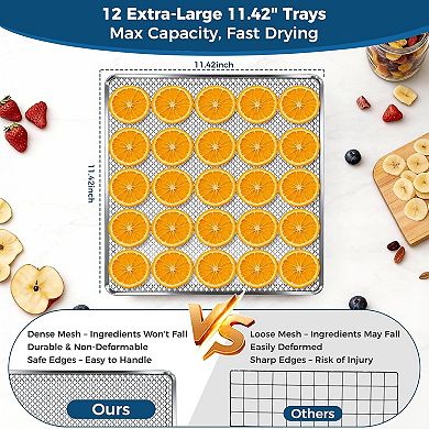 OSTBA Food Dehydrator, 12Trays, 95165℉, 48h Digital Timer, Recipe for Fruit, Vegetable, Jerky, Herb