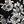 Black Estelle Floral