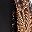 Black Jana Chintz