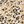 Beige Leopard