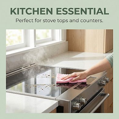 3 Pack Kitchen Dish Cloths, Absorbent Microfiber Cleaning Streak-Free Towels 10" x 10"