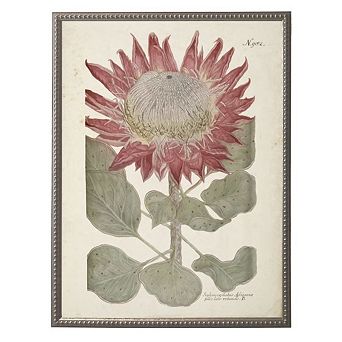 Red Flower in Silver-Beaded Frame