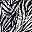 Black Zebraskin