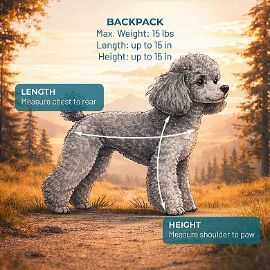 Hoomans + Paws Adventure-Ready Hiking Pet Backpack Carrier with Ventilation & Reinforced Base