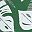 Green White