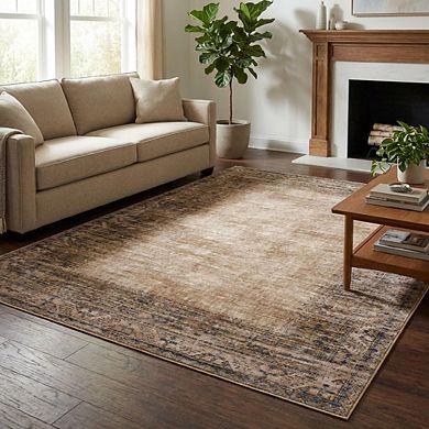 Distressed Area Rug Machine Washable Vacuum Clean Ultra Thin Stain Resistant Carpet for Bedroom
