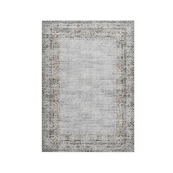 Distressed Area Rug Machine Washable Vacuum Clean Ultra Thin Stain Resistant Carpet for Bedroom