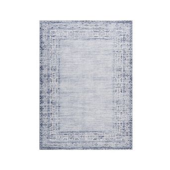 Distressed Area Rug Machine Washable Vacuum Clean Ultra Thin Stain Resistant Carpet for Bedroom