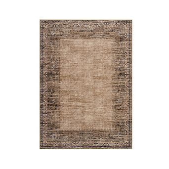 Distressed Area Rug Machine Washable Vacuum Clean Ultra Thin Stain Resistant Carpet for Bedroom