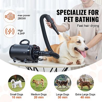 Pet Grooming Dryer with Extendable Hose, Variable Speed Airflow, and Heat Settings for Dogs