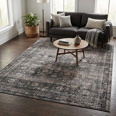 Distressed Area Rug Machine Washable Low Pile Pet Friendly Stain Resistant Carpet for Living Room