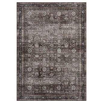 Distressed Area Rug Machine Washable Low Pile Pet Friendly Stain Resistant Carpet for Living Room