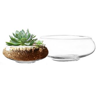 Clear Glass Vase Set of 2: Decorative for Flowers, Terrariums, Planters, Home Decor
