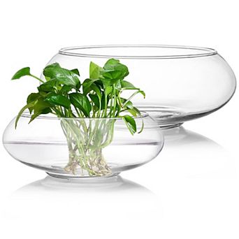 2 Pack Clear Glass Vase Bowls 6"/8" Wide Mouth for Terrariums, Floral, Hydroponics, Home Decor