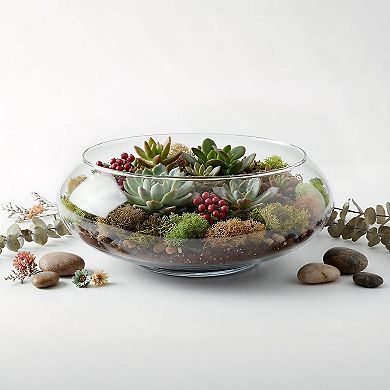 2 Pack Clear Glass Vase Bowls 6"/8" Wide Mouth for Terrariums, Floral, Hydroponics, Home Decor
