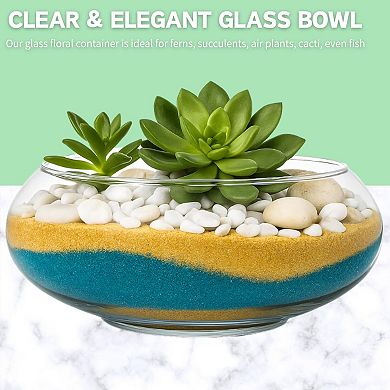 2 Pack Clear Glass Vase Bowls 6"/8" Wide Mouth for Terrariums, Floral, Hydroponics, Home Decor