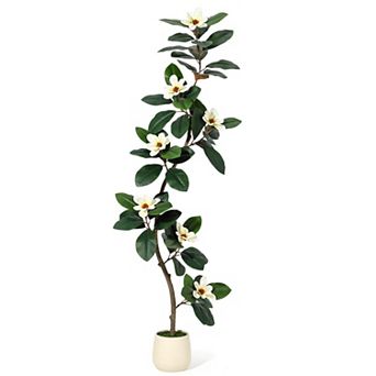Artificial Magnolia Tree with White Planters, Magnolia Flowers, Ideal for Home, Office Decor