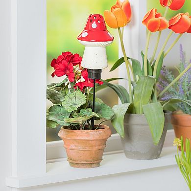 Evergreen Enterprises Ceramic Mushroom Fruit Fly & Gnat Trap with Watering Globe