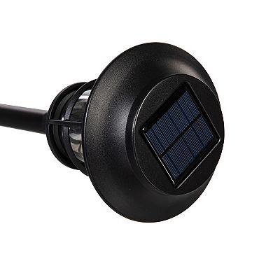 Evergreen Enterprises 4-Pack Solar Pathway Lights