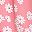 Pink Flower