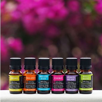 Essential Oil 6 Pack - Be Well