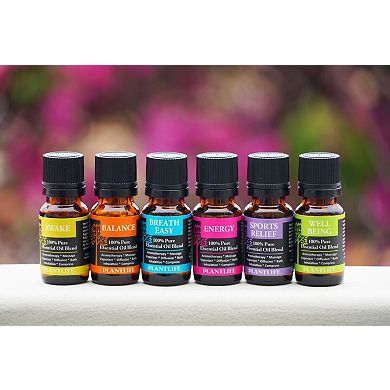 Essential Oil 6 Pack - Be Well