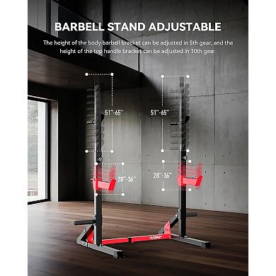 HARISON Adjustable Squat Rack,Heavy Duty Barbell Rack for Home Gym, Power Rack (HRK-G30812)